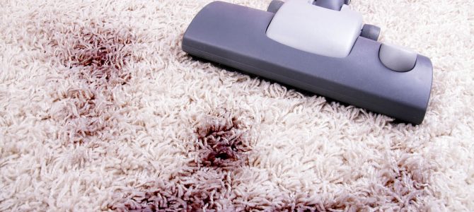 Dúvidas sobre como limpar tapete felpudo? Veja 5 dicas! – WhatsApp 96288-0872 Dúvidas sobre como limpar tapete felpudo? Veja 5 dicas! – WhatsApp 96288-0872